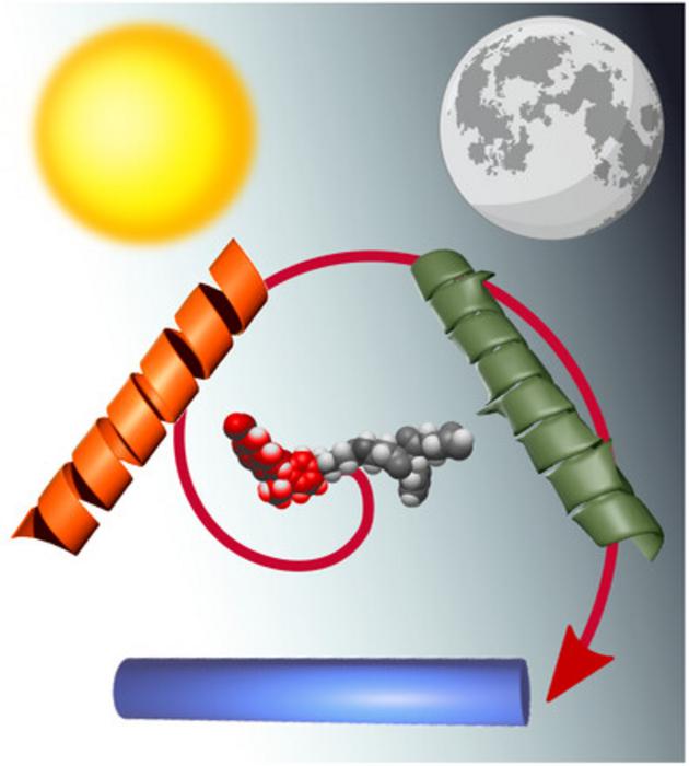 Darkness Drives the Evolution of Light-Responsive Nanomaterials