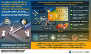 Novel surface-enhanced Raman scattering (SERS) sensor-integrated food wrapper
