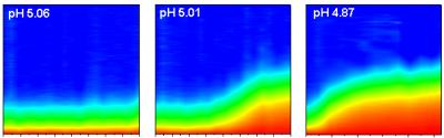 'Instant Acid' Method Offers New Insight into Nanoparticle Dispersal in the Environment and the Body