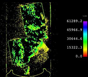 Neutron computed tomographic scan of coral fossil