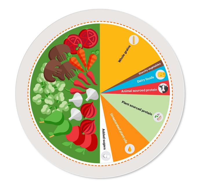 Sustainable Plant based Diet Benefits Both Human And Planetary Health 