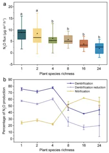 Tree diversity exerts a significant negative effect on soil N2O emissions, driven by reduced N2O production via denitrification