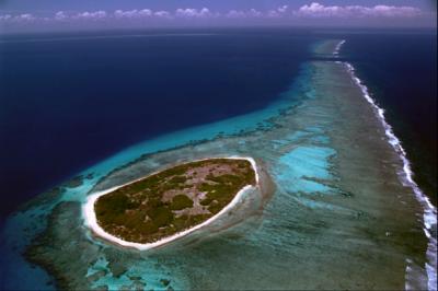 Surprise Island