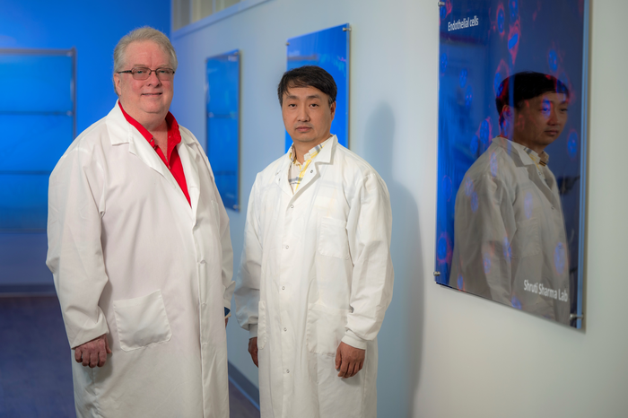 New algorithm dramatically increases the speed of identifying two cancer drugs that work synergistically