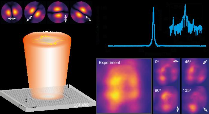 Working principle of the topological bulk BIC laser.