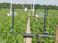 Field Experiment at Th&uuml;nen Institut