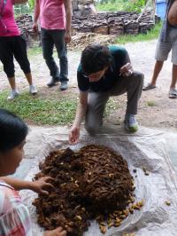Shopping for Insect Larvae