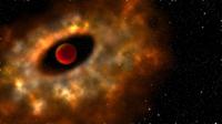 Protoplanetary Disk