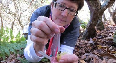 Collecting Wild Cousins of Model Organism