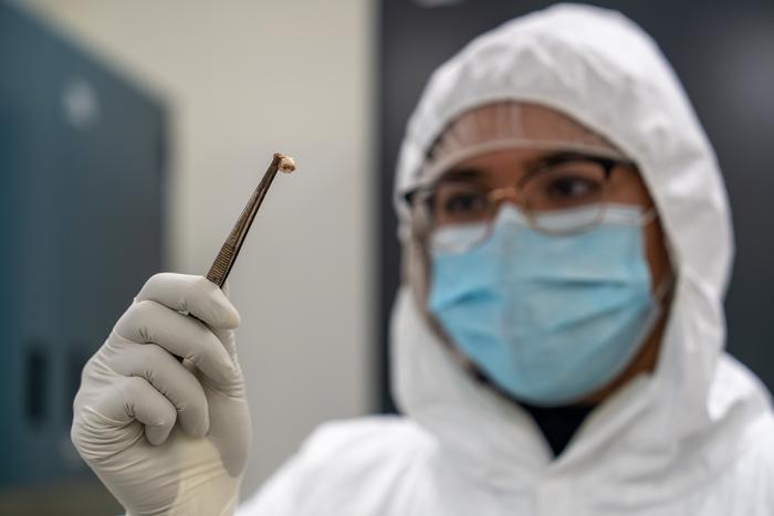 Researchers show how the evolution of a single gene allowed the plague to adapt, survive and kill much of humanity over many centuries, only to fade out later