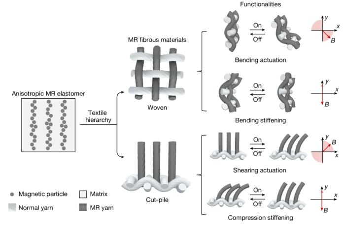 PolyU develops new human-safe magnetorheological fibres, leading innovations in smart wearable textiles