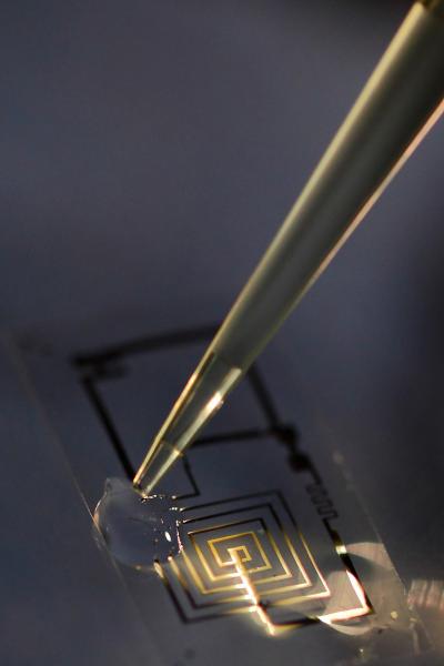 Vanishing Electronic Medical Implants (2 of 7)