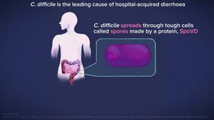 Antimicrobial resistance: Scientists discover new   gene boosting harmful gut bacteria