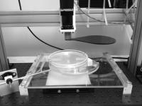 Experimental Apparatus