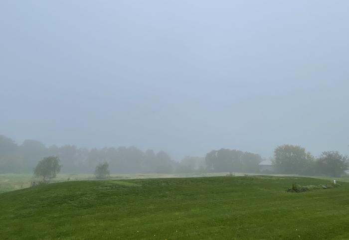 Foggy field