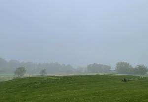 Foggy field