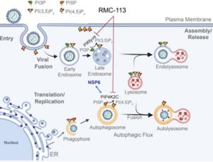 RMC-113 mechanism of action.