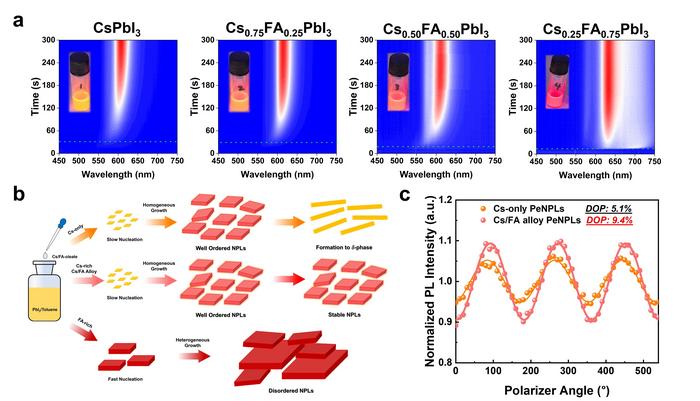 Figure | Synthesis of Cs/FA alloyed perovskite nanoplatelets for linearly polarized emission.