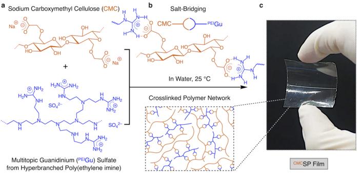 The new carboxymethyl cellulose supramolecular plastic (CMCSP)