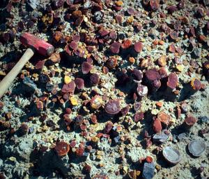Collection of concretions