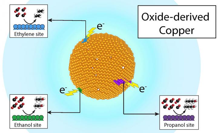 Copper Catalyst