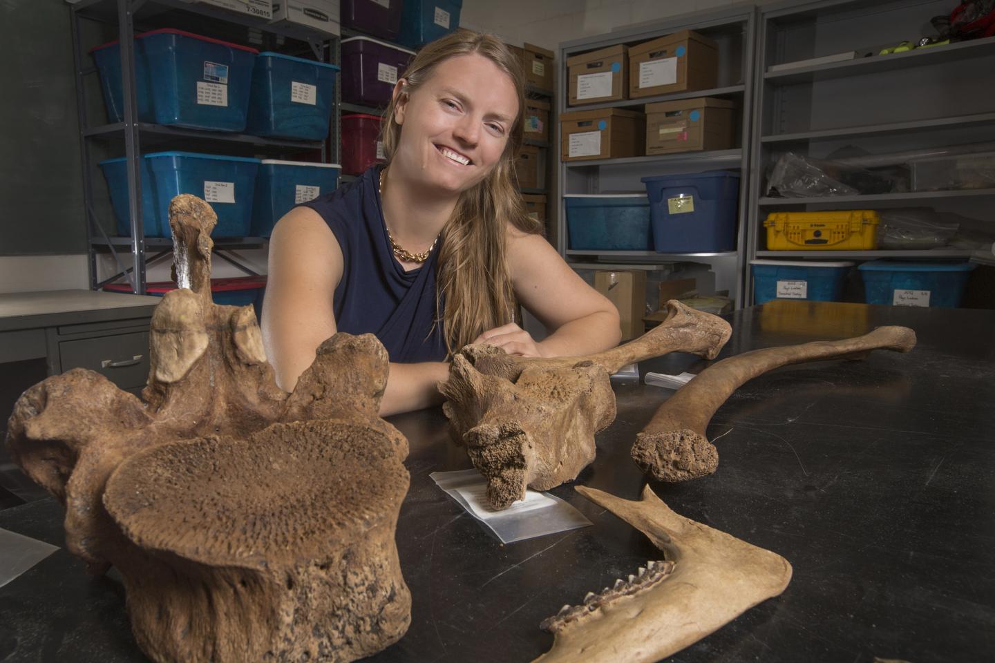 Archaeological Site Yields Clues to Early Civilization