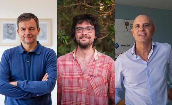 New study shows that the balance between two types of inhibition regulates how brain rhythms communicate