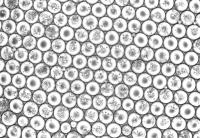 Emulsion droplets from a scifi-RNA-seq