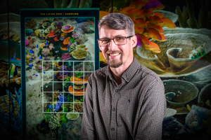 Dr David Warne
