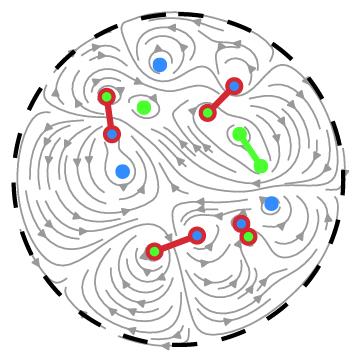 Dipole Vortex