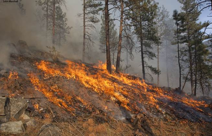 Prescribed burn (1)