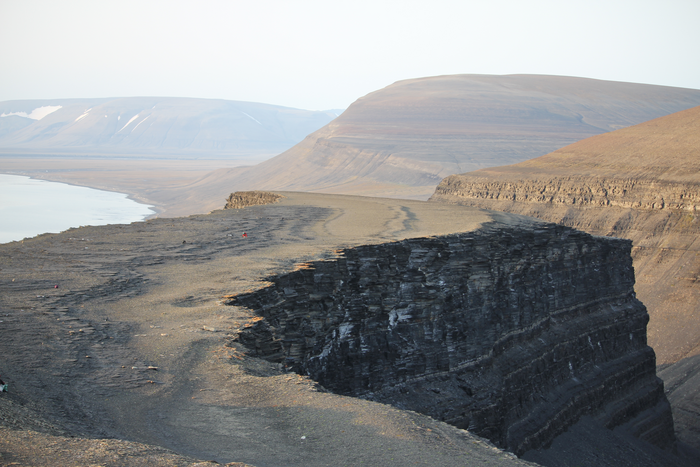 Exceptional X-Ray contrast: Radiography imaging of a Middle Triassic mixosaurid from Svalbard
