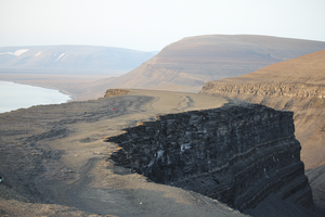 Exceptional X-Ray contrast: Radiography imaging of a Middle Triassic mixosaurid from Svalbard