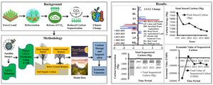 Land use transformation and carbon sequestration in the Chittagong Hill Tracts, Bangladesh: a spatiotemporal and predictive analysis with economic implications