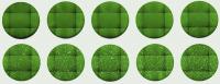 A Neutralizing Antibody Blocks the Entry of a Surrogate Virus