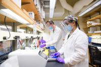 Members of Giovanna Carpi's lab at work
