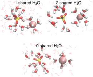 ion pairs in aqueous solution