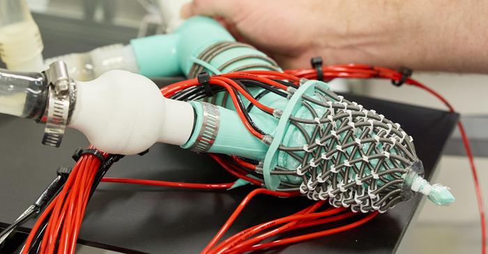 Soft robotic heart