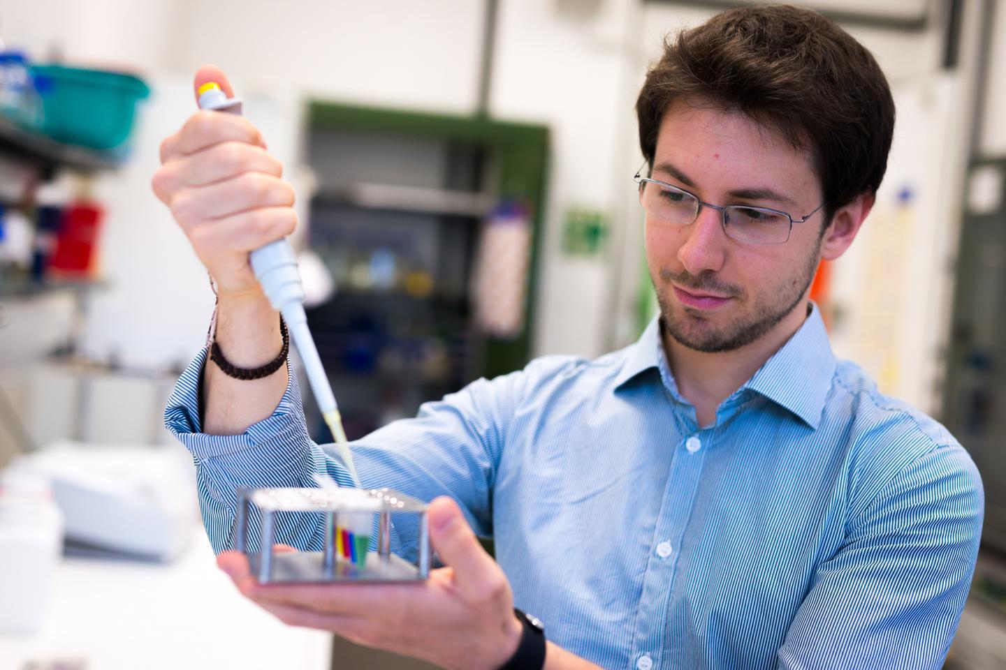 Search for RNA Thermometers