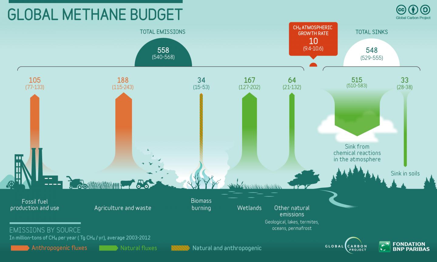 Global Methane Budget