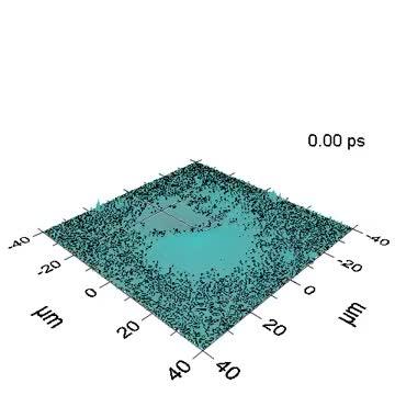 Vortex and half-vortex dynamics in a nonlinear spinor quantum fluid (2 of 2)