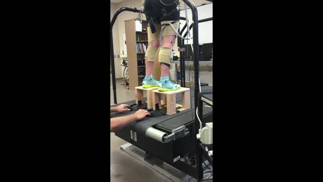 Step Forward in Falling Research