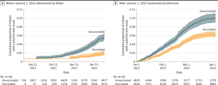 COVID-19 vaccination during pregnancy could protect against SARS-CoV-2 infection in infants