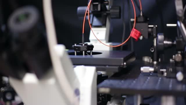 CU Researchers Win National Science Foundation Grant to Study Brain