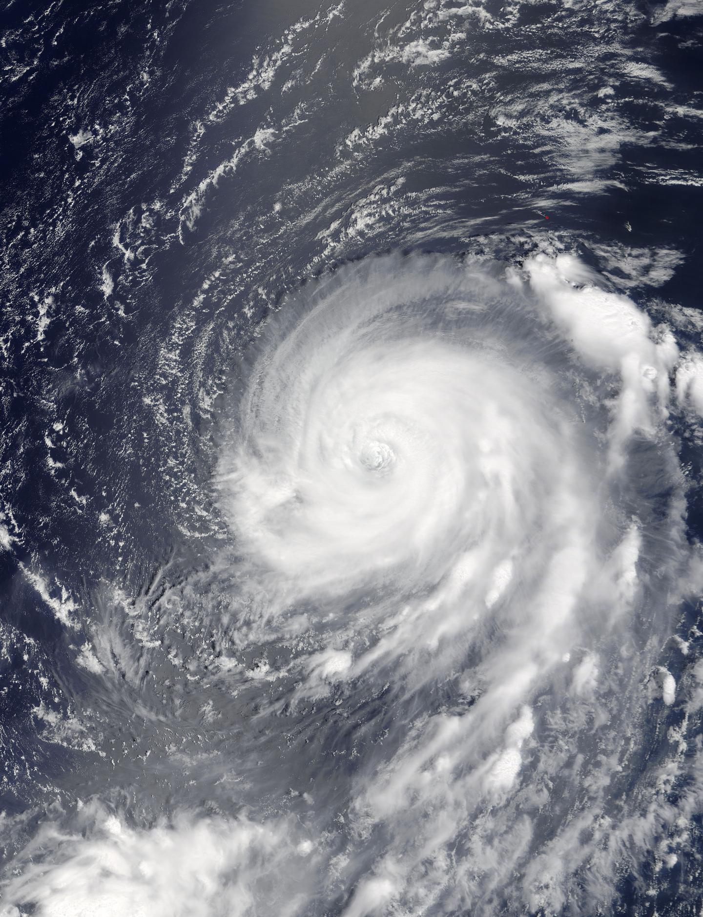 Terra Image of Noru
