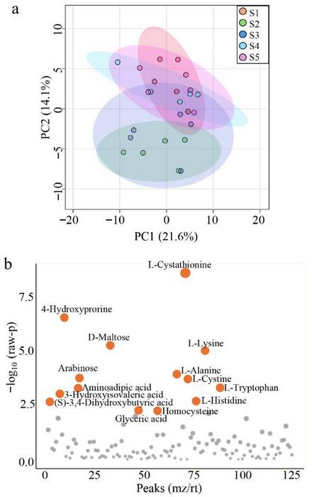 Multivariate and univariate analysis of metabolomic profiles.