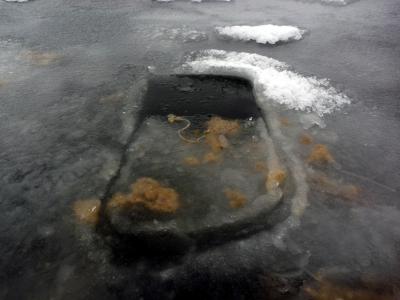 Melting Ice May Be Moving More Algae in the Arctic (5 of 15)