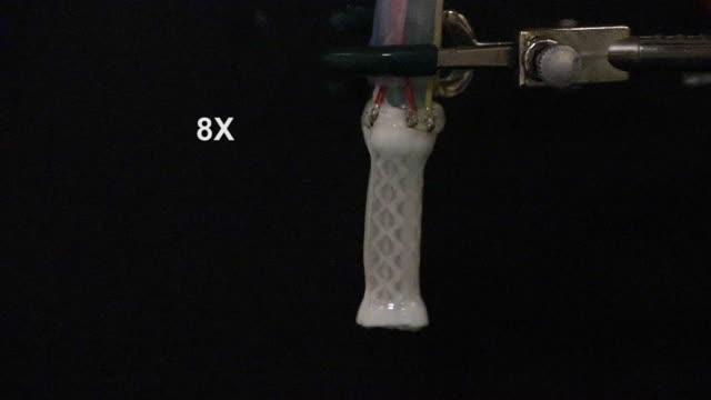 Electrically Controlled Soft Actuators
