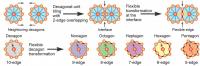 Flexible Decagons