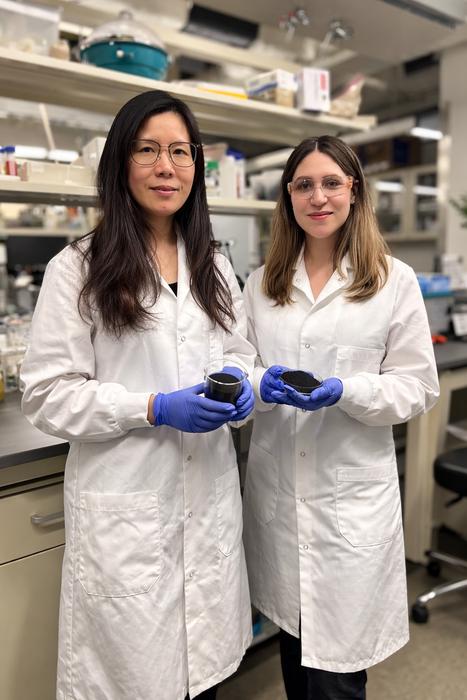 Caixia “Ellen” Wan and postdoctoral fellow Neda Arabzadeh Nosratabad